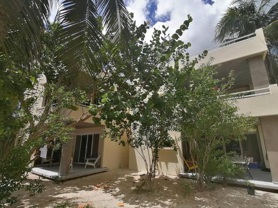 Marysol Beachfront Next To Nomads D2 Isla Mujeres