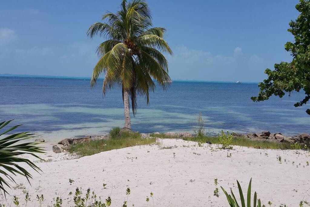 Apartamento Marysol Beachfront Next To Nomads D2 Isla Mujeres
