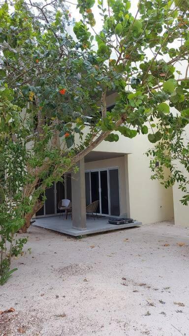 Marysol Beachfront Next To Nomads D2 Apartamento