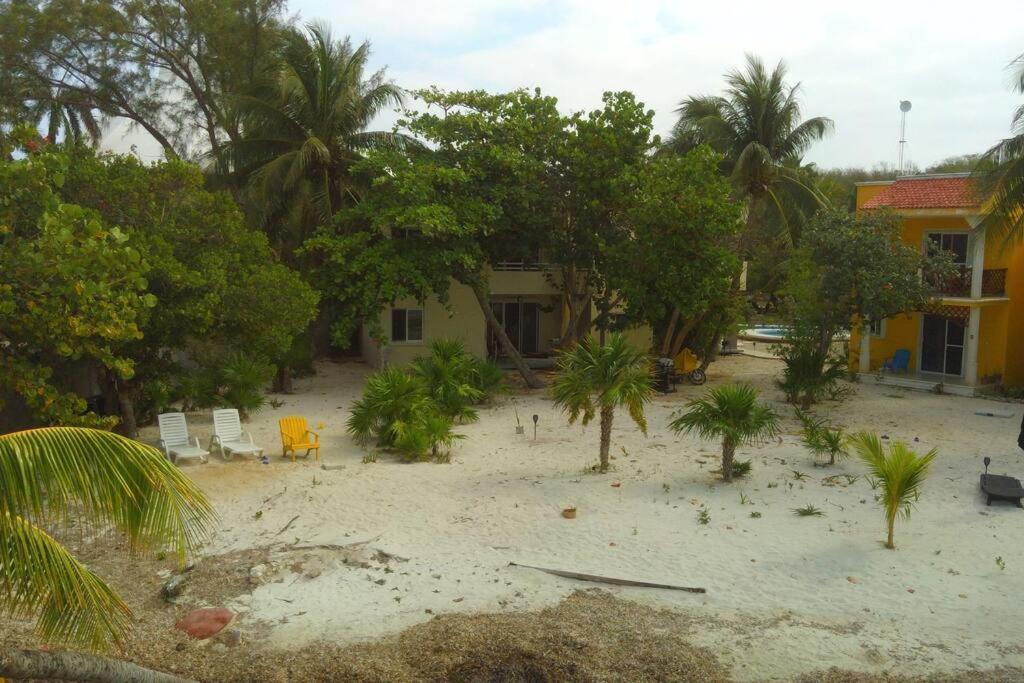 Apartamento Marysol Beachfront Next To Nomads D2