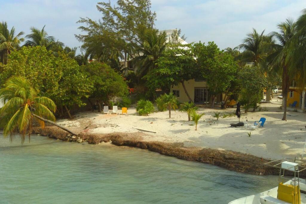 Marysol Beachfront Next To Nomads D2 *